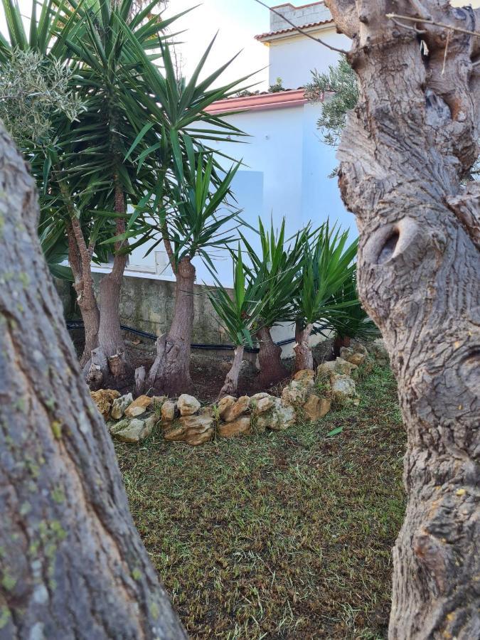 Casa Vacanza Delfino Azzurro - Noto Marina - Calabernardo Exterior photo